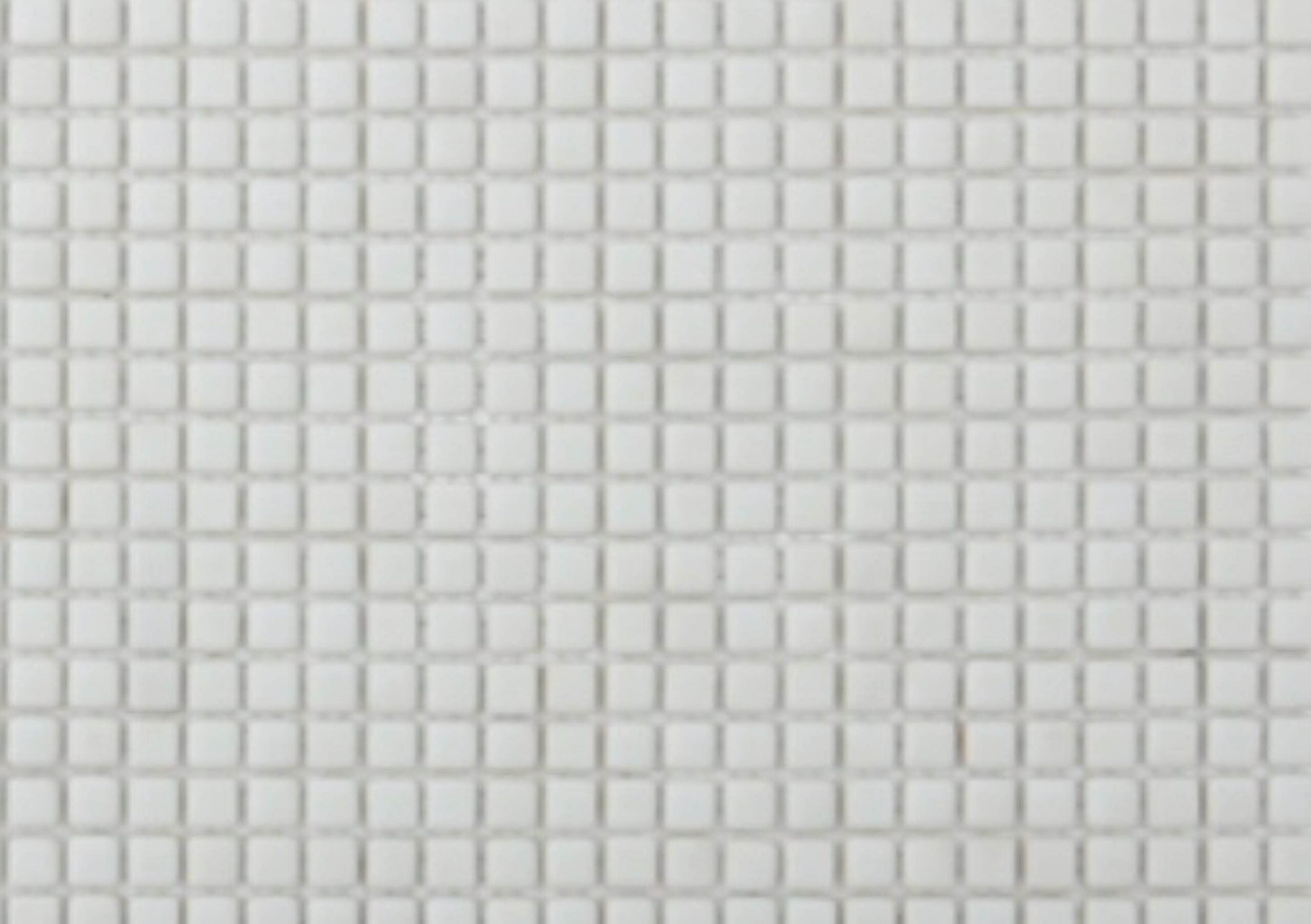 Mosaris mosaico All Photos 2