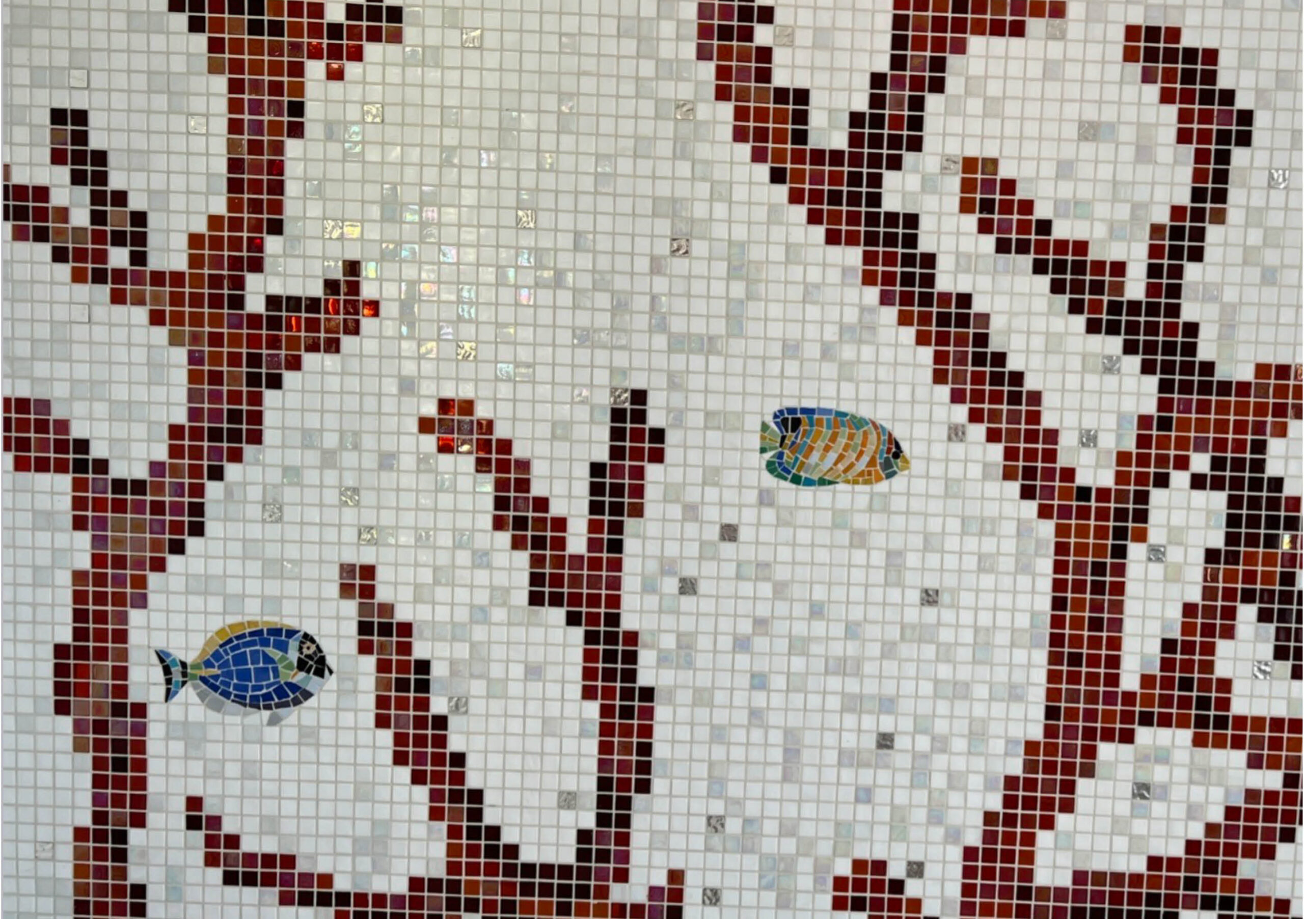 Mosaris mosaico All Photos 27
